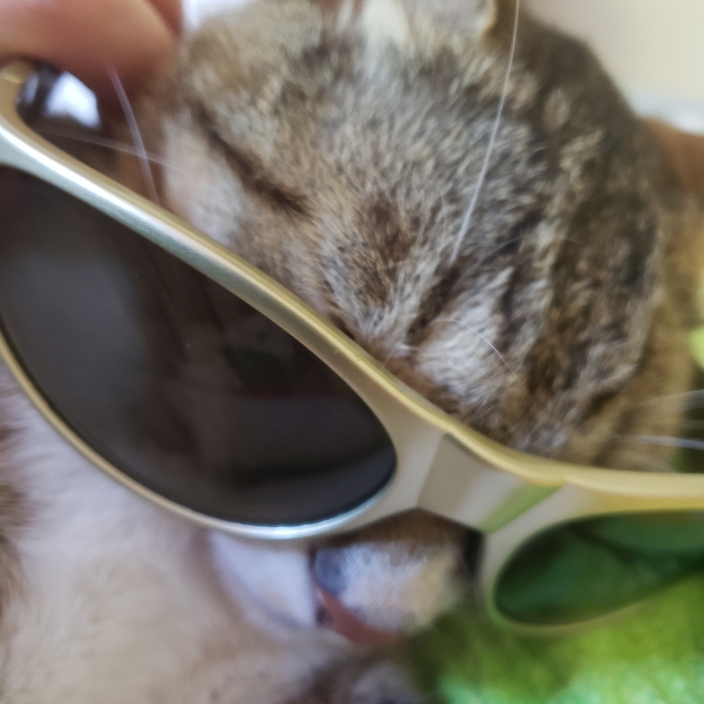 Vtg Bollè Gold Framed Sports Sunglasses - Picture 5 of 9
